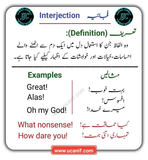 in which meaning in urdu|which meaning in Urdu with examples, definition, and pronunciation.
